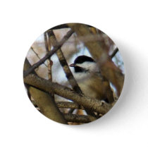 Black-capped Chickadee Button