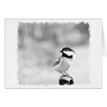 black-capped chickadee card