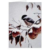 Black-capped chickadee card