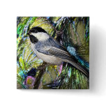 Black-Capped Chickadee from Junglewalk.com Pin