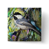 Black-Capped Chickadee from Junglewalk.com