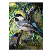 Black-Capped Chickadee from Junglewalk.com