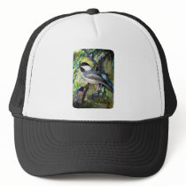 Black-Capped Chickadee from Junglewalk.com