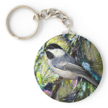 Black-Capped Chickadee from Junglewalk.com