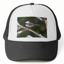 Black-capped Chickadee ? green background Trucker Hat