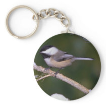 Black-capped Chickadee ? green background Keychains