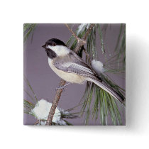 Black-capped Chickadee ? grey background Button