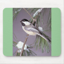 Black-capped Chickadee ? grey background Mouse Pads