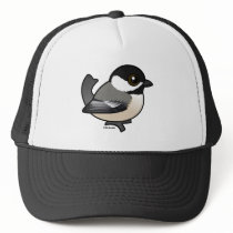 Black-capped Chickadee