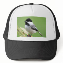 Black Capped Chickadee Trucker Hats