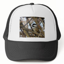 Black-capped Chickadee Hats
