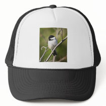 Black-capped chickadee trucker hats