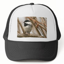 Black capped chickadee mesh hats
