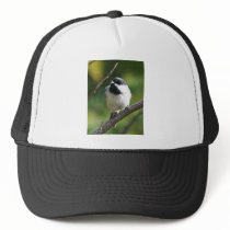 Black-capped chickadee hat
