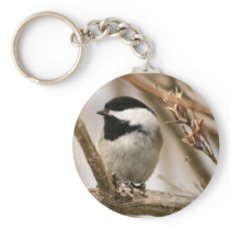 Black capped chickadee keychains