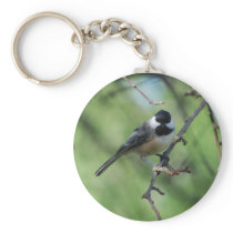 Black-capped Chickadee keychain