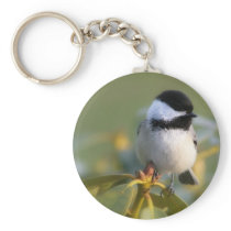 Black-capped Chickadee Keychains