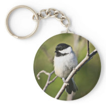 Black-capped chickadee key chain