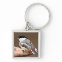 Black Capped Chickadee Keychains