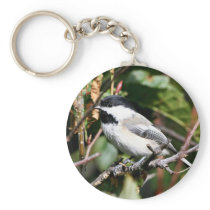 Black-capped chickadee key chain