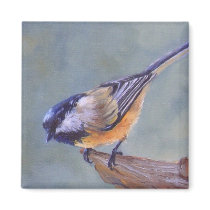 Black Capped Chickadee Magnet