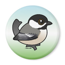 Black-capped Chickadee