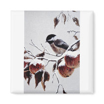 Black-capped chickadee fridge magnets