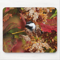 Black-Capped Chickadee Mousepad