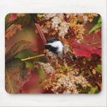 Black-Capped Chickadee Mousepad