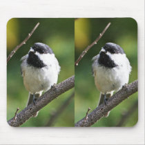 Black-capped chickadee mousepads