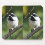 Black-capped chickadee mousepads