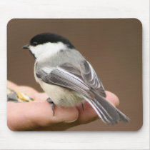 Black Capped Chickadee Mousepad