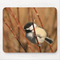 Black Capped Chickadee Mouse Pads