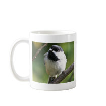 Black-capped chickadee mug