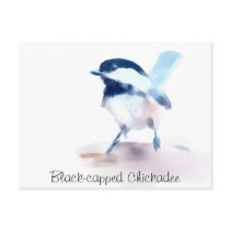 Black-capped Chickadee painting Post Cards