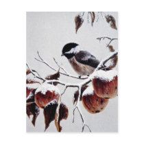 Black-capped chickadee post card