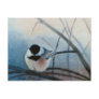 Black Capped Chickadee Postcard
