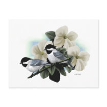 Black Capped Chickadee Postcards