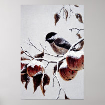 Black-capped chickadee poster