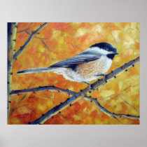Black-Capped Chickadee Poster