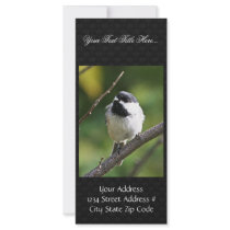 Black-capped chickadee rack card