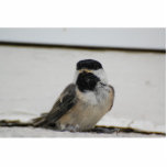 Black capped chickadee sculpture photo cutout