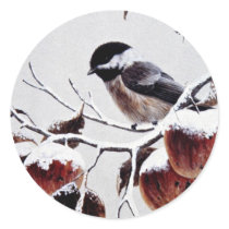 Black-capped chickadee round sticker