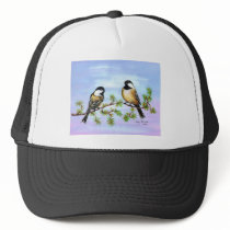Black Capped Chickadees