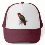 Black-Capped Lory by Edward Lear hats