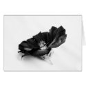 Black cards