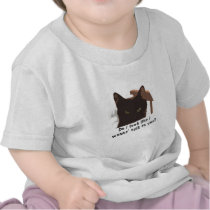 black cat
