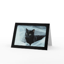 Black Cat All Occasion Card