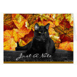 Black Cat and Fall Leaves cards
