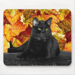 Black Cat and Fall Leaves mousepads